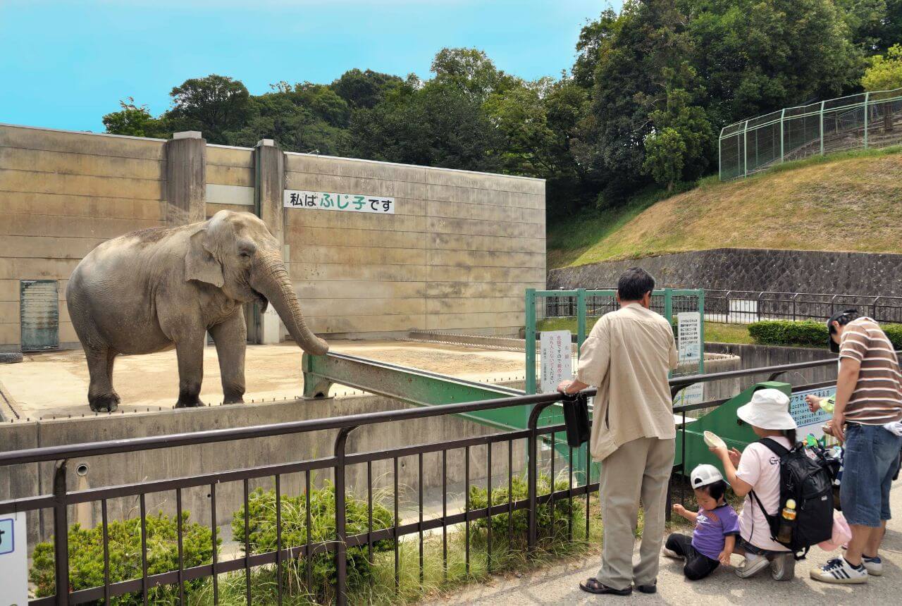 東公園動物園の写真